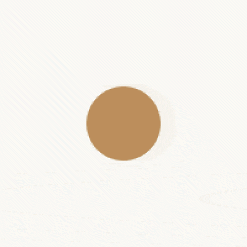 pointer-05-min.gif